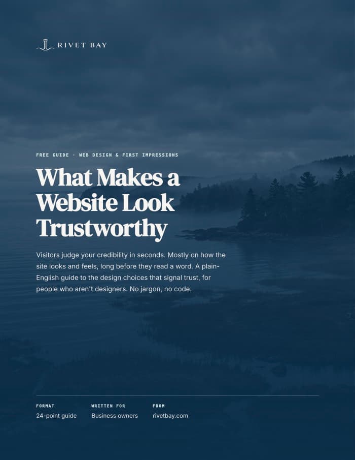 Cover of What Makes a Website Look Trustworthy